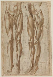 Twee Studies van een Gevild Man recto Studie van een Gevild Torso verso, 1554