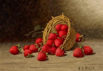 Aardbeien