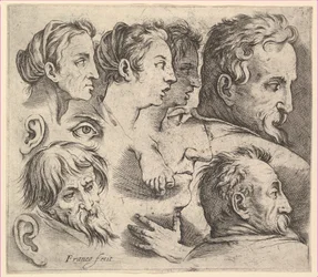Studies van hoofden