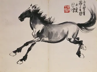 Galopperend paard