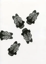Bijenvergadering, 2013
