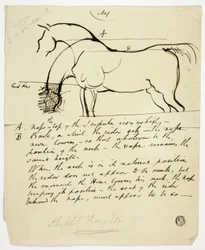 Schets van een paard met notities