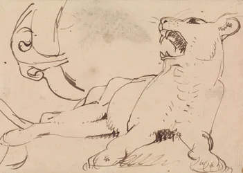 Studie van een Leeuwin