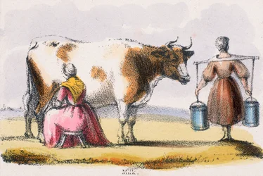 Melk, ca. 1845