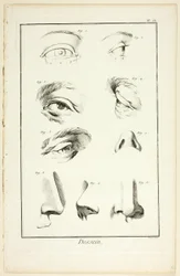 Ontwerp: Gezichtsanatomie uit Encyclopédie