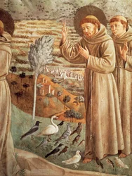 Verhalen uit het leven van Sint Franciscus, prediking tot de vogels