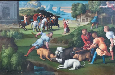 Circe verandert Picus in een specht