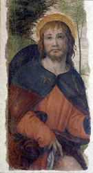 Voorstelling van Sint Rochus. Fresco van de school van Bernardino de Scapis, bekend als Bernardino Luini (1485-1532). 16e eeuw