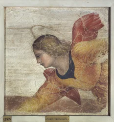 Engel
