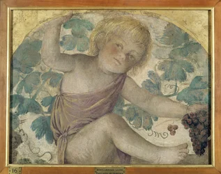 Oogstende putti - Putto onder een prieel, c.1514 (losgemaakte fresco op paneel)