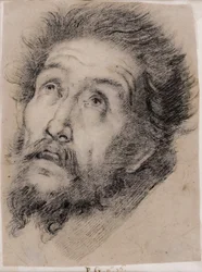 Studie voor Franciscus van Assisi die het kruis aanbidt