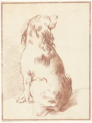Zittende hond