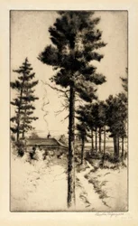 Hut in de wildernis
