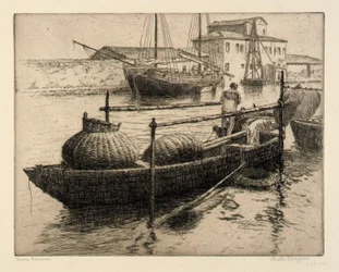Visser Venetië