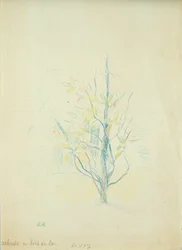 Struiken bij het meer, 1893