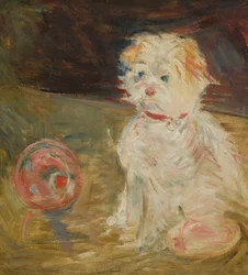 Hond met bal