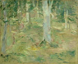 Bos van Compiègne