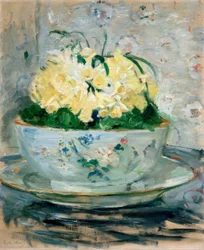 Narcissen