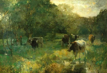 Valleipasture, moerasweiden