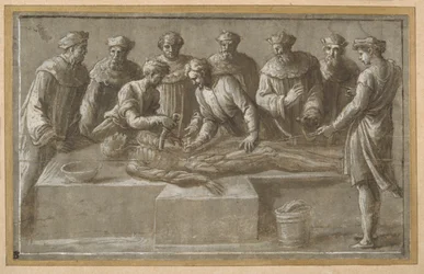 Zes professoren in de anatomie, die een gevilde mannelijke lijk ontleden
