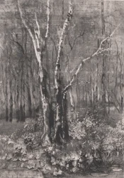 Bos in het Park bij Monza, 1895