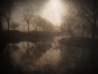 Weerspiegeling in het mistige bos