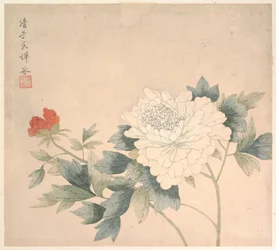 Bloemen