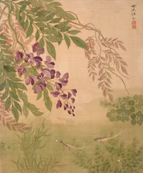 Wisteria uit Album of Flowers (inkt en kleur op zijde)
