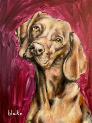 Honden Regeren, ca. 2021