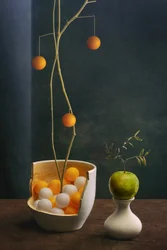 Elegant fruitstilleven