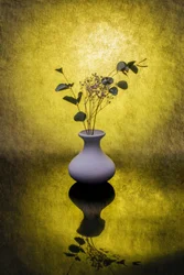 Gouden bloemenreflectie