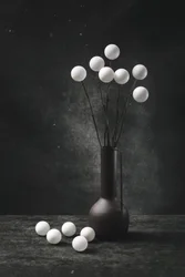 Minimalistische witte bollen