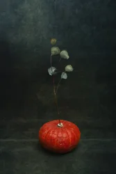 Sombere pompoen-eucalyptus
