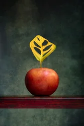Warm stilleven met appelblad