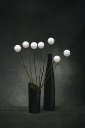 Witte bollen en donkere vazen