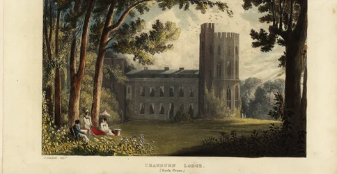 Cranburn of Cranbourne Lodge