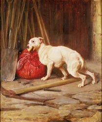 Kleinigheid, 1888