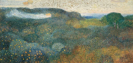 Sinaasappelboomgaard aan de Franse Rivièra