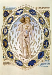 Het menselijk lichaam en de horoscoop, uit "Les Tres riches Heures du Duc de Berry", ca.1411-16 (miniatuur)
