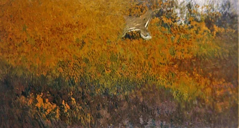 Een zomers landschap met een vogel in vlucht
