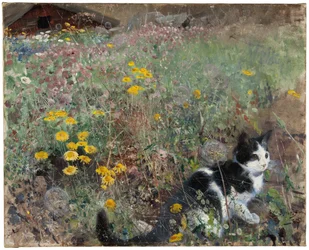 Kat op een Bloemenweide