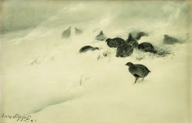 Hoenders in een sneeuwstorm