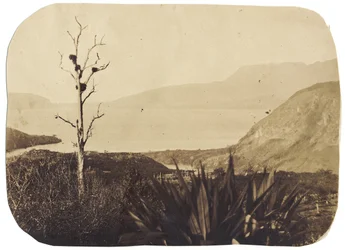 Meer en Mount Tarawera vanaf Te Wairoa, 1860