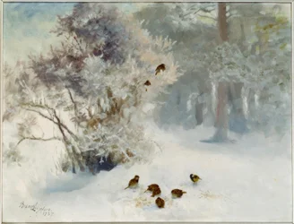 Vogels voeren in de sneeuw