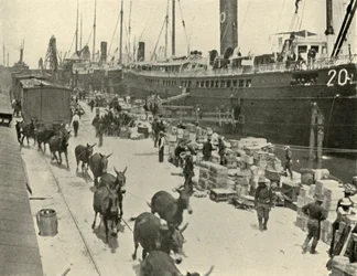 Troepenschepen in Port Tampa, Florida, VS, Spaans-Amerikaanse Oorlog, 10 juni 1898, 1899