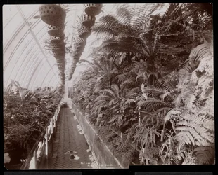 Planten in een Kas op het Helen Gould Landgoed (voormalige Jay Gould Residentie) in Tarrytown, New York
