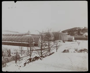 De Kassen in de Sneeuw op het Helen Gould Landgoed (voormalige Jay Gould Residentie) in Tarrytown, New York