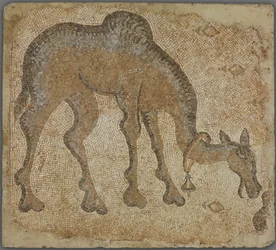 Mozaïekfragment met grazende kameel