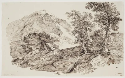 Berglandschap met bomen