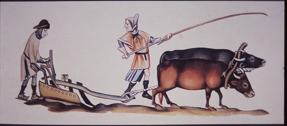 Middeleeuwse mannen die met ossen ploegen, uit een scène uit het Luttrell-psalter